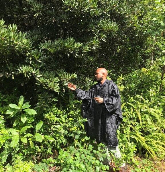 Giani Abajee at Mondrain Nature Reserve, Mauritius (Image: Dermot Molloy)