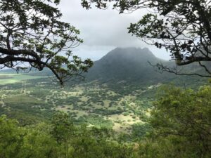 View from Mondrain Ridge, Vacoas, Mauritius (Image: Dermot Molloy)