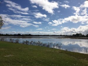 Post Herbicide control from RRC Health and Environment teams