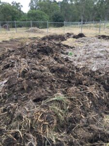 Water hyacinth at four months decomposition post-harvest