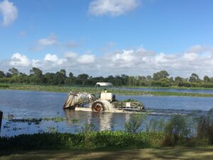 Harvesting operations on Murray Lagoon