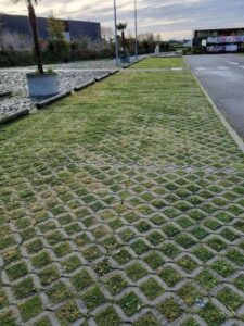 Permeable paving allows for water infiltration and limits runoff (Image: Patrick Regnault)