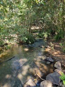 Tucki Tucki Creek Reserve, Lismore, NSW (Image: Patrick Regnault)