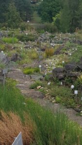 Botanic gardens and other plant collections provide valuable reference points and benchmarks for plant adaptions in the wild