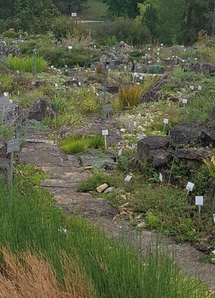 Botanic gardens and other plant collections provide valuable reference points and benchmarks for plant adaptions in the wild