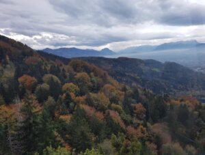 Research has shown plants tend to adapt upslope and towards the poles