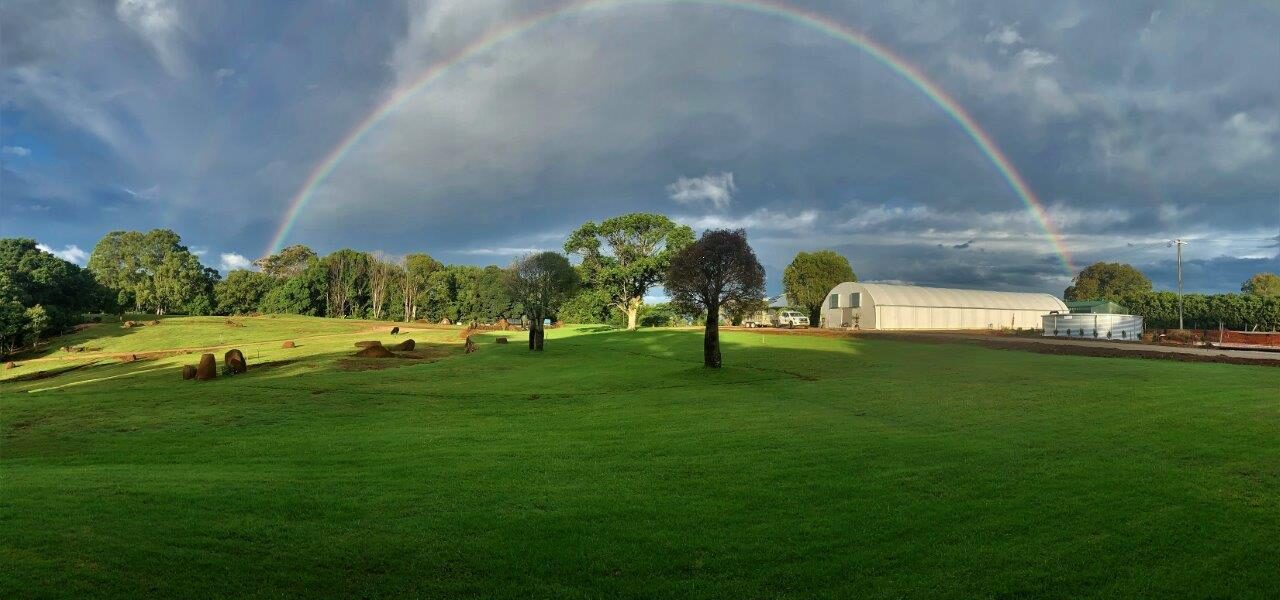 Pacific Nurseries is located on twenty acres in the NSW Northern Rivers hinterland