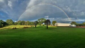 Pacific Nurseries is located on twenty acres in the NSW Northern Rivers hinterland