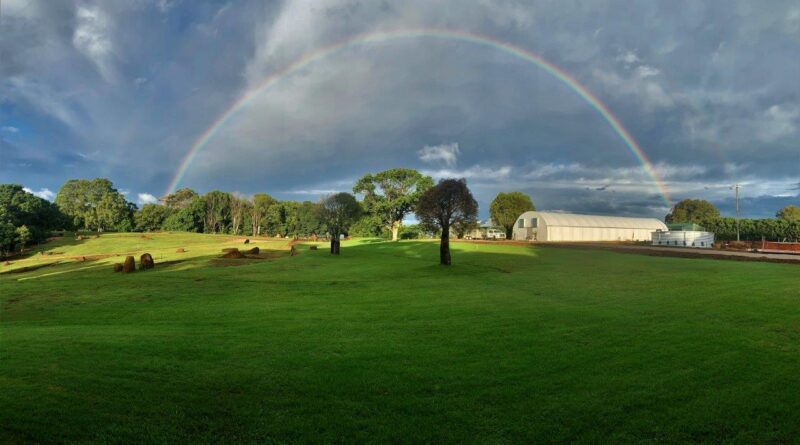 Pacific Nurseries is located on twenty acres in the NSW Northern Rivers hinterland