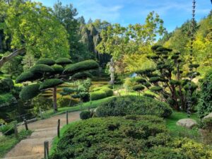 The surrounding area near the tea house