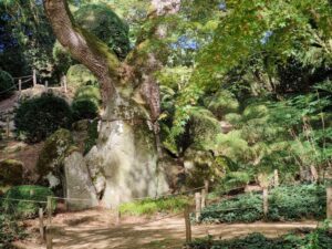 The house of the Kami, Shintai. The Shimenawa on the rock indicates a sacred place