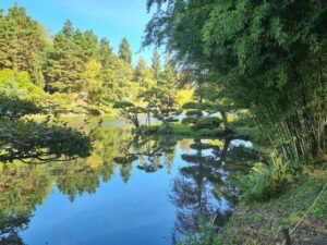 Reflection on autumnal nature