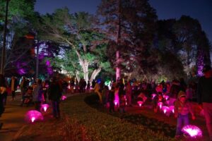 Armidale Light Festival 2024