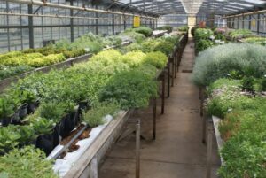 Growing environments are changing, and so are the skills and training of the future workers in horticulture; attracting people to the industry is a new challenge