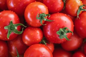 Production nurseries play a vital role in growing and supplying tomato seedlings (Image: Myriams-Fotos, Pixabay)