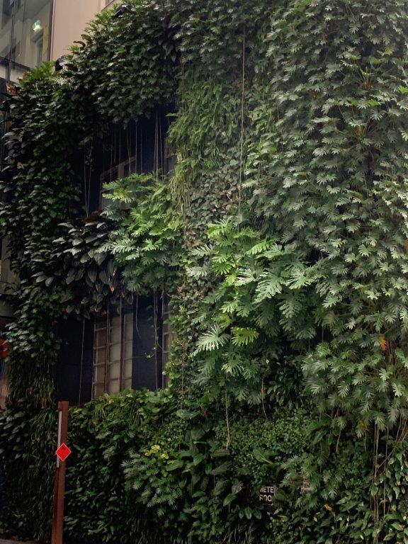 Image showcasing Green Spaces, the key to better mental health in urban living - Hort ...