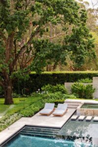 An established oak tree forms the centrepiece of this formal garden, which also features clipped hedges and white agapanthus around a newly refurbished pool area