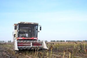 A farmer drives a harvester to harvest sunflower seeds in a field in Linhe District of Bayannur, north China's Inner Mongolia Autonomous Region