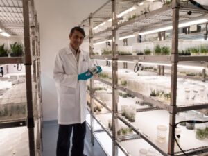 Praful Umaretiya in Kings Park’s tissue culture storage facility (Image: Rachel King)