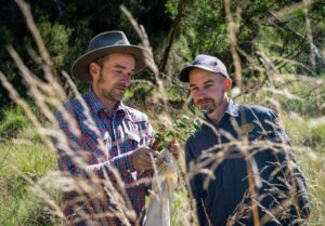 Conservation Horticulture brings together the ecology of a species with horticultural techniques to successfully propagate and provide plant material for ex-situ living collections, reintroduction, or more broadly, cultivation (Image: RBGV)