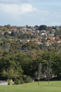 Good canopy cover delivers a raft of community benefits, including shade, temperature mitigation, wellbeing, and wildlife habitat (Images supplied by John Fitzsimmons)