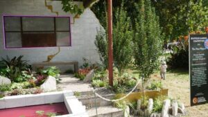 Boutique Garden ‘The New Nature’ focuses on the power of plants to clean the environment through phytoremediation and hyperaccumulation (images supplied by Karen Smith)