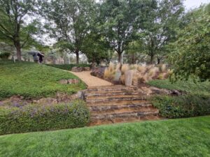 An oasis of green in a burnt landscape at Hanging Rock Garden (Image Patrick Regnault)