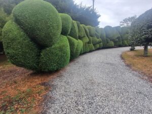 Garden as art at Reverie (Image Patrick Regnault)