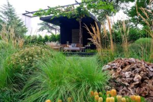 The glory vine, Vitis vinifera, is perfectly integrated into the pergola and looks a treat (Image: Ludovic Vilbert, Inwardout Studio)
