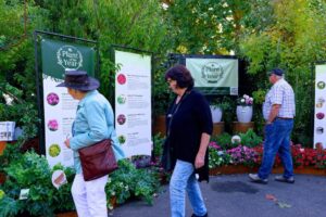Plant of the Year Garden at MIFGS this year (Image: Ludovic Vilbert, Inwardout Studio)