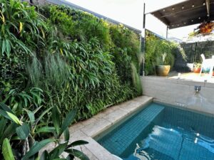 Every green wall should have a thorough and transparent management plan in place (Image: Michael Casey)