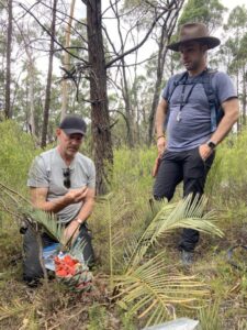 Tim Uebergang and cycad biologist James Clugston in the Pilliga National Park with Macrozamia diplomera (Image: Georgie Moyes)