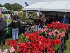 Stunning hippeastrum on display in the Drewitt’s Bulbs exhibit. Drewitt’s was awarded the Best in Show – Greenlife Exhibitor (Image: Dean Lloyd)