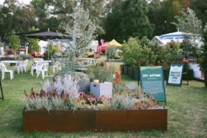 Emerging designer Pru Scriven was awarded Best in Show – Display Garden for her evocative ‘Dry Autumn’ pocket garden. Her design artfully blended waterwise plants from across the globe, unified by a warm autumn palette and a shared resilience to dry conditions