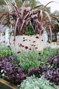 NGIWA's Executive Officer and volunteers created six inspirational Waterwise garden displays. This Mediterranean-inspired design was one of the highlights (Image: Krystle Ricci)