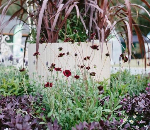 NGIWA's Executive Officer and volunteers created six inspirational Waterwise garden displays. This Mediterranean-inspired design was one of the highlights (Image: Krystle Ricci)