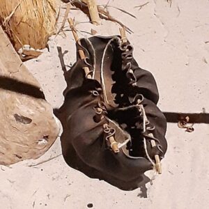 This kelp water carrier on display at Launceston’s Queen Victoria Museum and Art Gallery was created by Gloria Templar using bull kelp (Durvillaea potatorum), wood and plant fibre