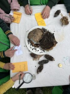 Young Botanists label their own seed packets to begin their own seed collections at the Royal Botanic Gardens Victoria (Image: RBGV)