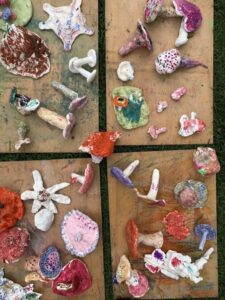 Examples of student work in the Young Botanist program exploring fungal diversity with Dr Tom May, Principal Research Scientist (Mycology), at Royal Botanic Gardens Victoria (Photo RBGV)