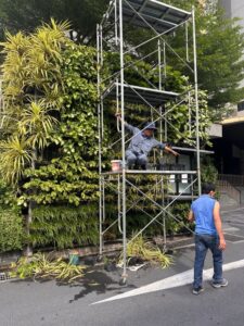 When green infrastructure projects are designed with maintenance in mind, we are one step closer to success (Image: Michael Casey)