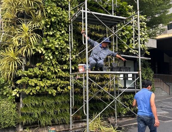 When green infrastructure projects are designed with maintenance in mind, we are one step closer to success (Image: Michael Casey)