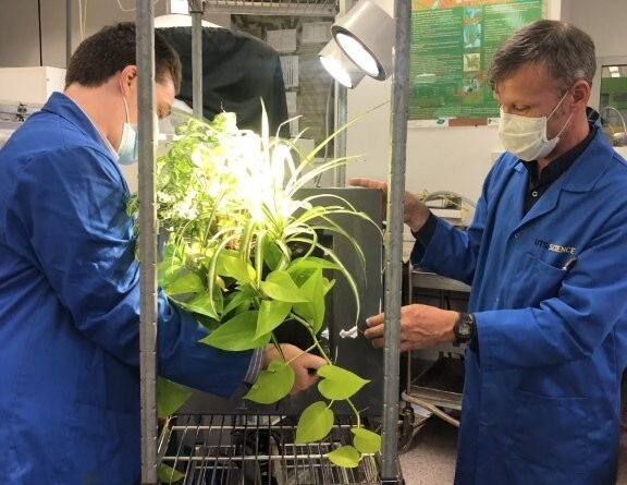 (L-R) Dr Peter Irga and Associate Professor Fraser Torpy (Image: University of Technology Sydney)