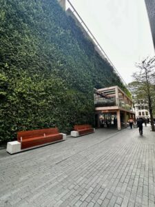 This green wall in a busy corporate sector of London was planned alongside stakeholders, designers, and specialists to ensure the best outcomes (Image: Michael Casey)
