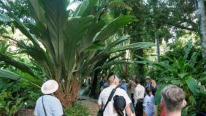 Dr Charles Clarke, Curator, Flecker Botanic Gardens, guided delegates through the gardens (image supplied by Karen Smith)