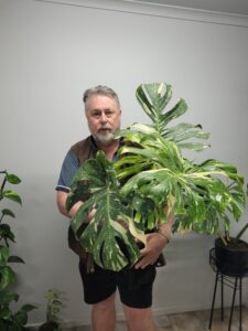 Clive Larkman with his Monstera deliciosa ‘Thai Constellation’ (Image: Clive Larkman)