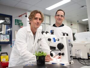 Dr Chris Brosnan (L) and Stephen Fletcher (R) in the University of Queensland laboratory (Image: The University of Queensland)
