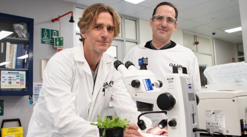 Dr Chris Brosnan (L) and Stephen Fletcher (R) in the University of Queensland laboratory (Image: The University of Queensland)
