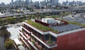 The Bruce building in Kensington, Melbourne offers a blend of interior and exterior plant life, providing multiple environmental benefits for people working there (Image: Evergreen Infrastructure)