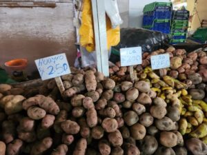 Stall selling wild and farmed potatoes at the San Pedro market in Cusco (Image: Clive Larkman)