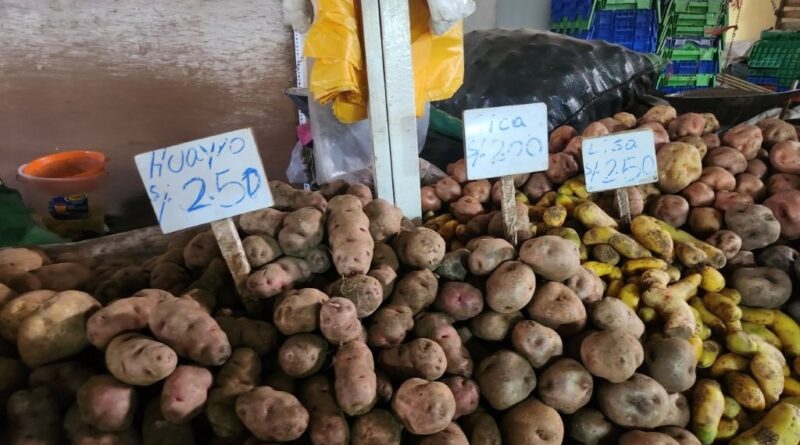 Stall selling wild and farmed potatoes at the San Pedro market in Cusco (Image: Clive Larkman)